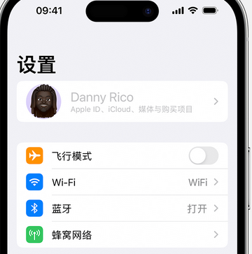 冕宁appleID维修服务iPhone设置中Apple ID显示为灰色无法使用