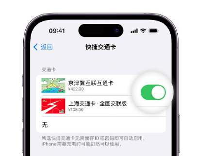 冕宁apple维修点分享iPhone上更换Apple Pay快捷交通卡手绘卡面 