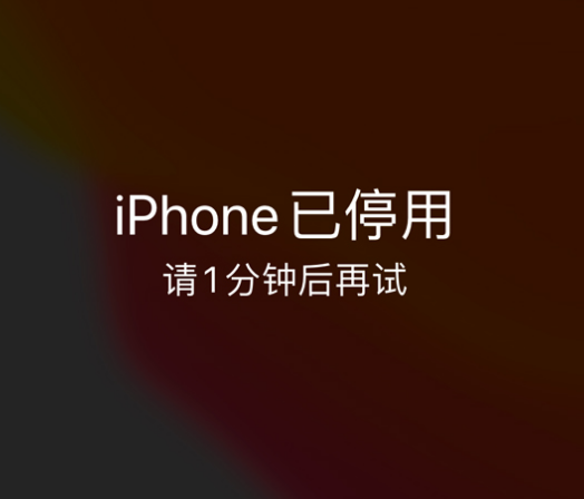 冕宁苹果手机维修分享:iPhone 显示“不可用”或“已停用”怎么办？还能保留数据吗？ 