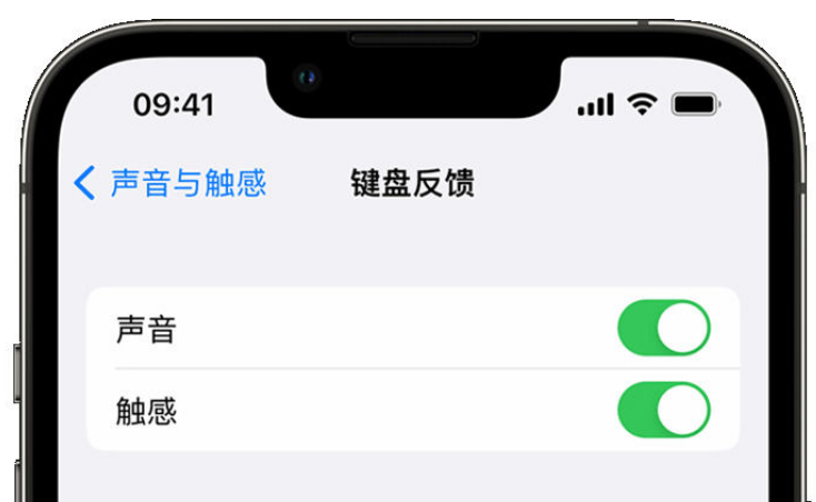 冕宁苹果手机维修分享iPhone 14触感键盘使用方法 