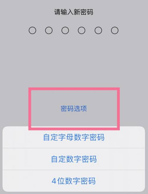 冕宁苹果14维修分享iPhone 14plus设置密码的方法 