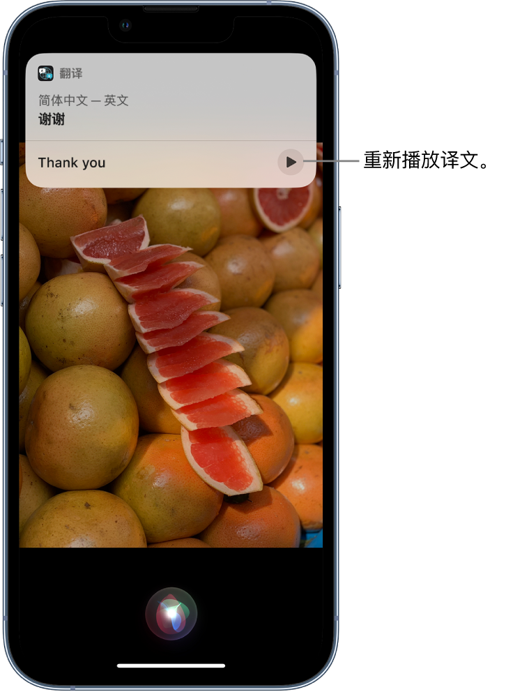 冕宁苹果14维修分享 iPhone 14 机型中使用 Siri：了解 Siri 能帮你做什么 