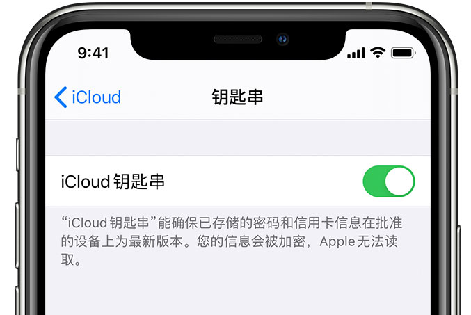 冕宁苹果手机维修分享在 iPhone 上开启 iCloud 钥匙串之后会储存哪些信息 