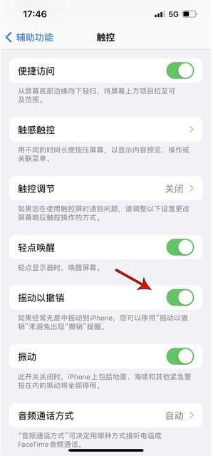 冕宁苹果手机维修分享iPhone手机如何设置摇一摇删除文字 